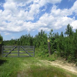 Photo #40 of SOLD property in Off Liberty Hall Road, King and Queen, VA 187.0 acres