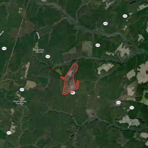 Photo #43 of SOLD property in Off Liberty Hall Road, King and Queen, VA 187.0 acres