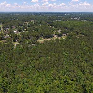 Photo #9 of SOLD property in Off Palmer Street, Tarboro, NC 13.1 acres
