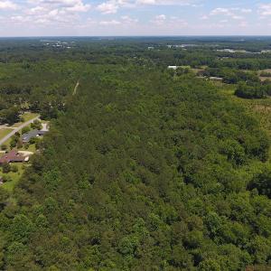 Photo #10 of SOLD property in Off Palmer Street, Tarboro, NC 13.1 acres