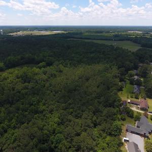 Photo #13 of SOLD property in Off Palmer Street, Tarboro, NC 13.1 acres
