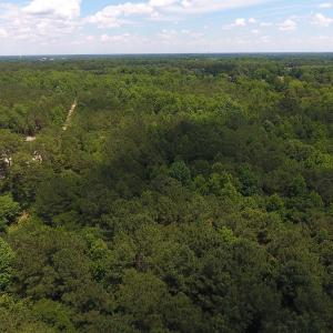 Photo #15 of SOLD property in Off Palmer Street, Tarboro, NC 13.1 acres