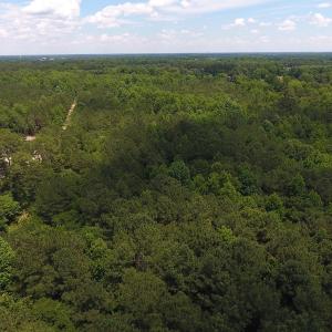 Photo #15 of SOLD property in Off Palmer Street, Tarboro, NC 13.1 acres