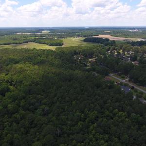 Photo #17 of SOLD property in Off Palmer Street, Tarboro, NC 13.1 acres
