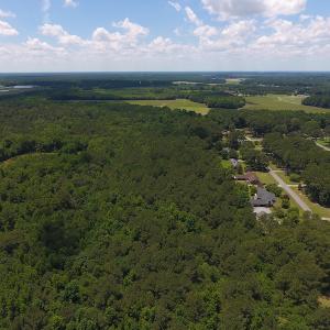 Photo #3 of SOLD property in Off Palmer Street, Tarboro, NC 13.1 acres