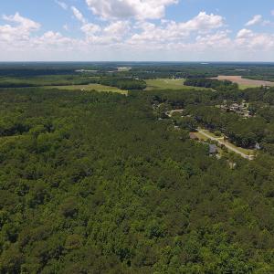Photo #4 of SOLD property in Off Palmer Street, Tarboro, NC 13.1 acres