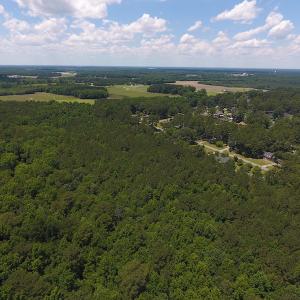 Photo #5 of SOLD property in Off Palmer Street, Tarboro, NC 13.1 acres
