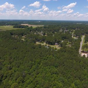 Photo #6 of SOLD property in Off Palmer Street, Tarboro, NC 13.1 acres