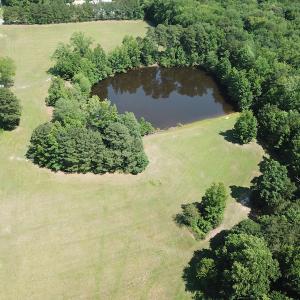 Photo #8 of SOLD property in Windsor Blvd, Windsor, VA 21.7 acres