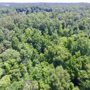 Photo #12 of SOLD property in Old Mill Rd, Halifax, VA 20.0 acres