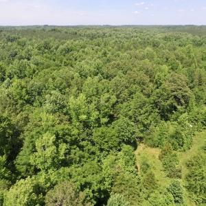 Photo #15 of SOLD property in Old Mill Rd, Halifax, VA 20.0 acres