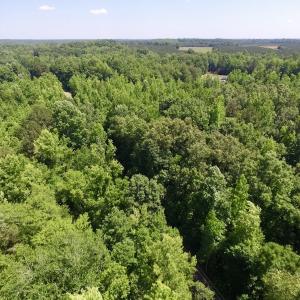 Photo #17 of SOLD property in Old Mill Rd, Halifax, VA 20.0 acres