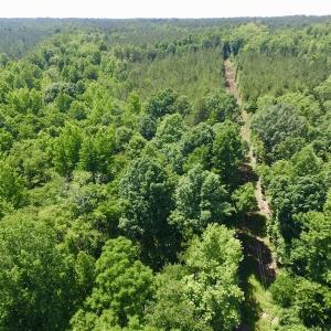 Photo #18 of SOLD property in Old Mill Rd, Halifax, VA 20.0 acres