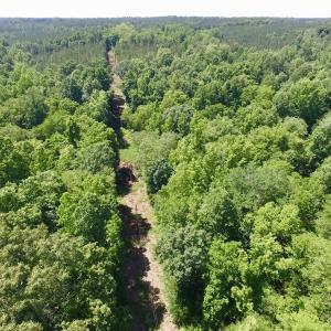 Photo #19 of SOLD property in Old Mill Rd, Halifax, VA 20.0 acres