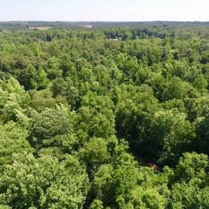 Photo #20 of SOLD property in Old Mill Rd, Halifax, VA 20.0 acres
