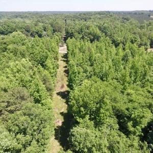Photo #21 of SOLD property in Old Mill Rd, Halifax, VA 20.0 acres