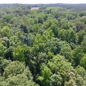 Photo #22 of SOLD property in Old Mill Rd, Halifax, VA 20.0 acres