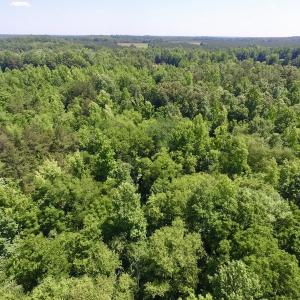 Photo #23 of SOLD property in Old Mill Rd, Halifax, VA 20.0 acres