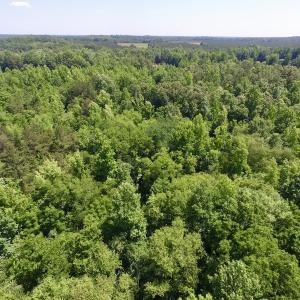 Photo #23 of SOLD property in Old Mill Rd, Halifax, VA 20.0 acres