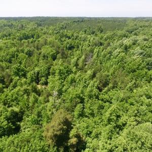 Photo #24 of SOLD property in Old Mill Rd, Halifax, VA 20.0 acres