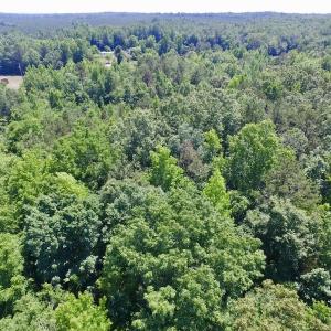 Photo #25 of SOLD property in Old Mill Rd, Halifax, VA 20.0 acres