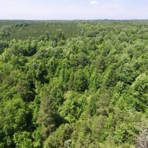 Photo #26 of SOLD property in Old Mill Rd, Halifax, VA 20.0 acres