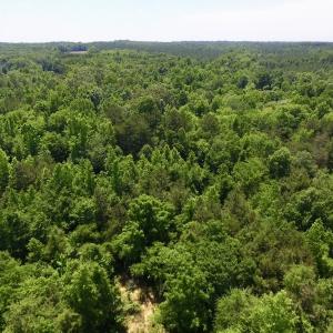 Photo #27 of SOLD property in Old Mill Rd, Halifax, VA 20.0 acres
