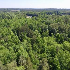 Photo #28 of SOLD property in Old Mill Rd, Halifax, VA 20.0 acres
