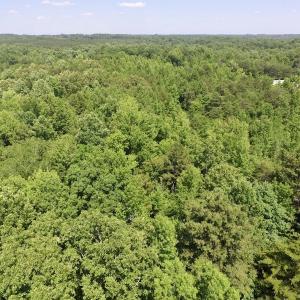 Photo #29 of SOLD property in Old Mill Rd, Halifax, VA 20.0 acres