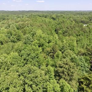 Photo #29 of SOLD property in Old Mill Rd, Halifax, VA 20.0 acres