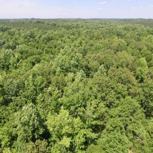 Photo #30 of SOLD property in Old Mill Rd, Halifax, VA 20.0 acres