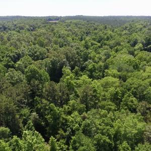 Photo #31 of SOLD property in Old Mill Rd, Halifax, VA 20.0 acres