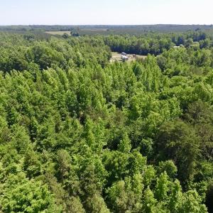 Photo #32 of SOLD property in Old Mill Rd, Halifax, VA 20.0 acres
