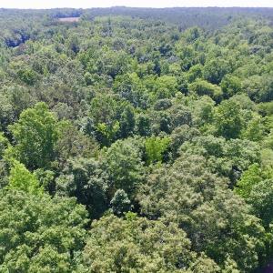 Photo #33 of SOLD property in Old Mill Rd, Halifax, VA 20.0 acres