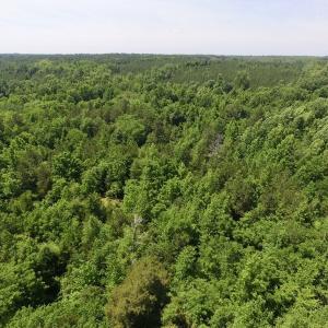 Photo #34 of SOLD property in Old Mill Rd, Halifax, VA 20.0 acres