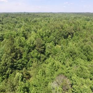 Photo #35 of SOLD property in Old Mill Rd, Halifax, VA 20.0 acres