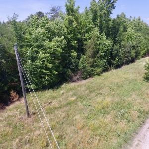 Photo #36 of SOLD property in Old Mill Rd, Halifax, VA 20.0 acres