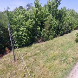 Photo #36 of SOLD property in Old Mill Rd, Halifax, VA 20.0 acres