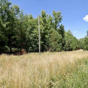 Photo #38 of SOLD property in Old Mill Rd, Halifax, VA 20.0 acres