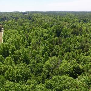 Photo #4 of SOLD property in Old Mill Rd, Halifax, VA 20.0 acres