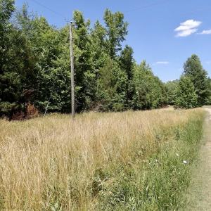 Photo #40 of SOLD property in Old Mill Rd, Halifax, VA 20.0 acres