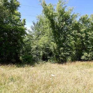 Photo #41 of SOLD property in Old Mill Rd, Halifax, VA 20.0 acres