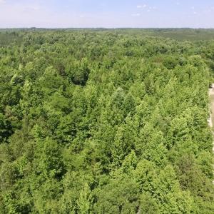 Photo #5 of SOLD property in Old Mill Rd, Halifax, VA 20.0 acres