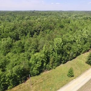Photo #7 of SOLD property in Old Mill Rd, Halifax, VA 20.0 acres