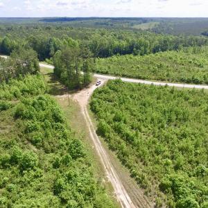 Photo #15 of SOLD property in New Grove Rd, Kenbridge, VA 56.0 acres