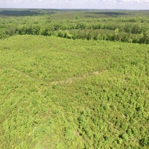 Photo #16 of SOLD property in New Grove Rd, Kenbridge, VA 56.0 acres