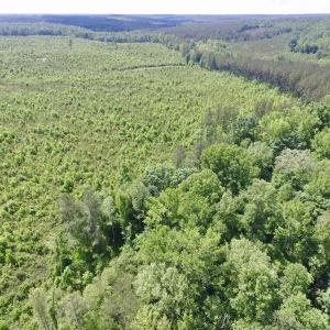 Photo #18 of SOLD property in New Grove Rd, Kenbridge, VA 56.0 acres