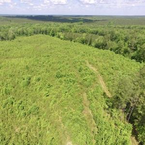 Photo #19 of SOLD property in New Grove Rd, Kenbridge, VA 56.0 acres