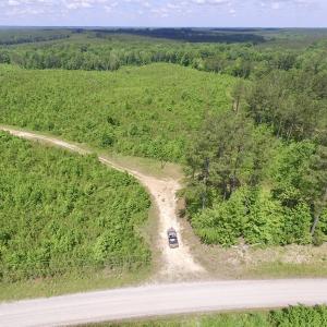 Photo #2 of SOLD property in New Grove Rd, Kenbridge, VA 56.0 acres