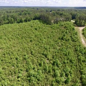 Photo #23 of SOLD property in New Grove Rd, Kenbridge, VA 56.0 acres